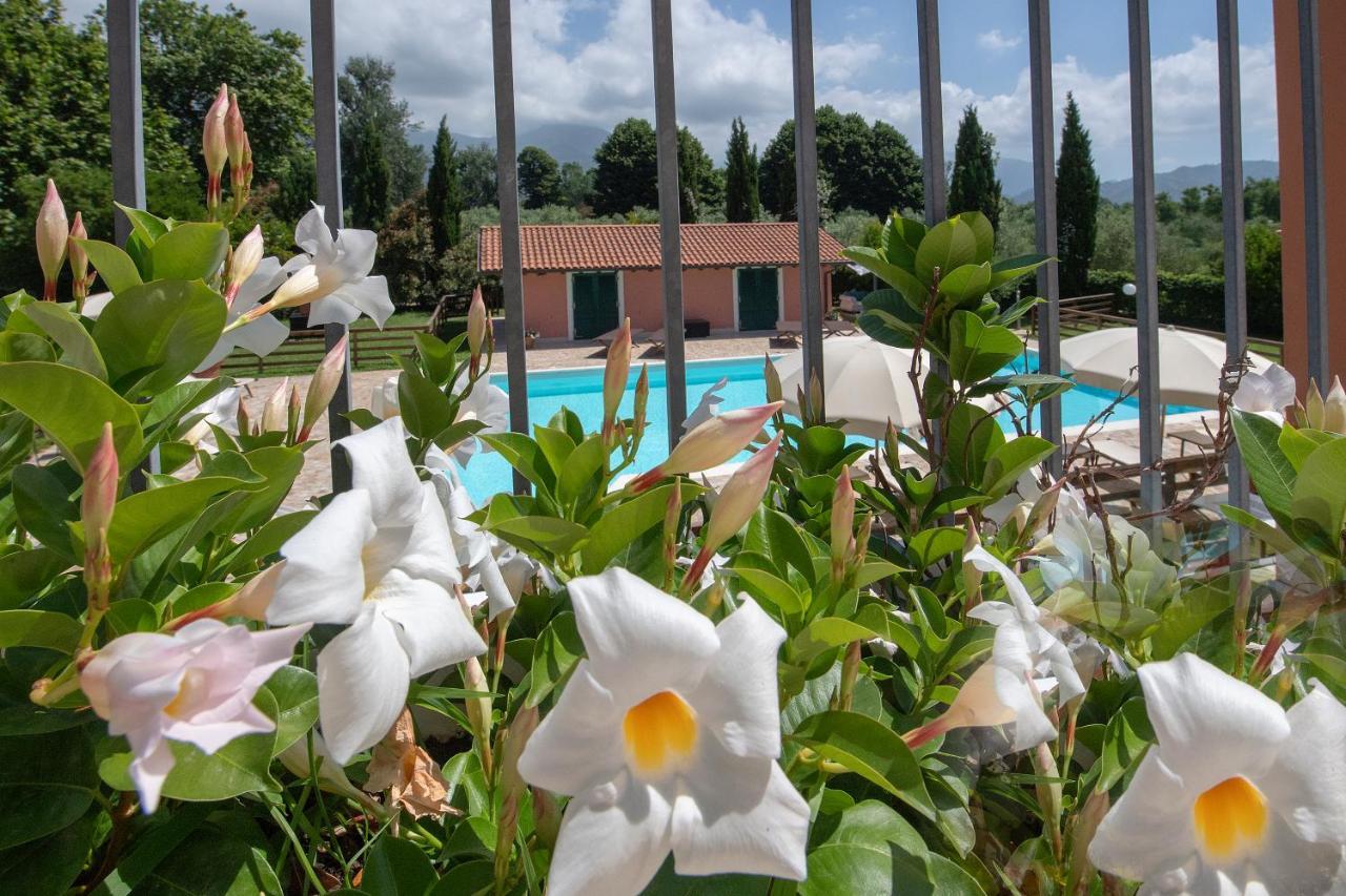 Relais Villa Isabel Pietrasanta Extérieur photo